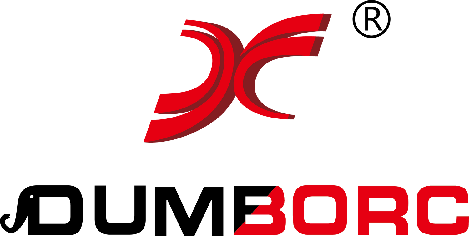 Dumbo RC